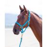 Nylonhalfter Topaz Shires - Blau