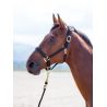 Nylonhalfter Topaz Shires - Schwarz