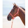 Nylonhalfter Topaz Shires - Orange