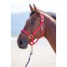 Nylonhalfter Topaz Shires - Rot