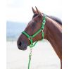 Nylonhalfter Topaz Shires - Grün