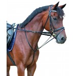 Thiedemann-Zügel Covalliero