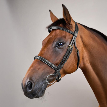 Dy'on Zaum mit geflochtener Nasenriemen ohne Kehlriemen