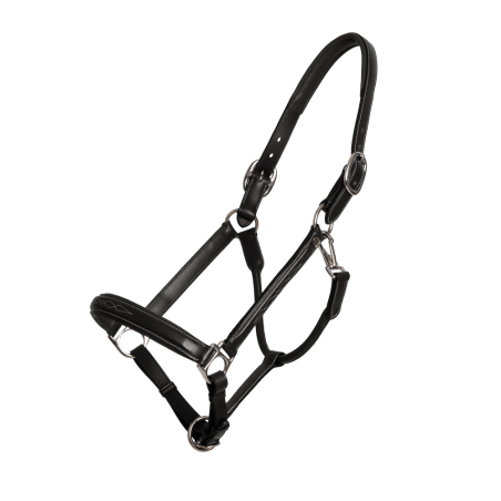 Führhalfter Fancy Dy'on