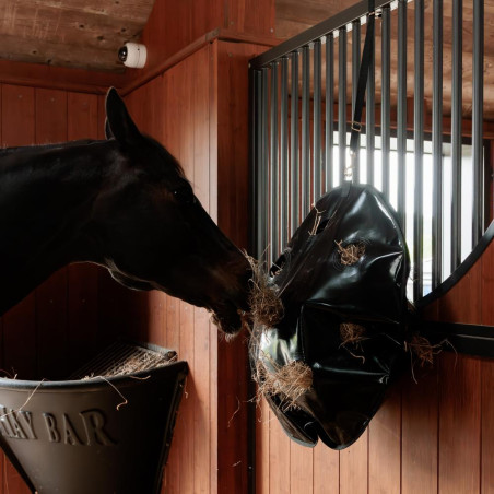 Heutasche Play & Rund-Slowfeeder Grooming Deluxe von Kentucky