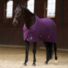 Fleece-Decke Imperial Riding Fundamental - Feige