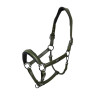 Equestrian Stockholm Anatomic-Lederhalfter mit Glitzer - Auffälliges Tal