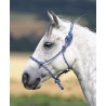 Halfter Ethologique Shires - Marine / Weiß