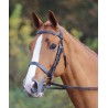 Aviemore Trense Shires - Havanna