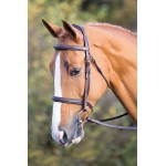 Trense Fairford Salisbury Shires