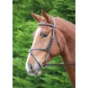 Mexikanisches Reithalfter Aviemore Shires - Havanna