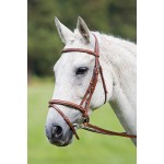 Trense mit kombiniertem Reithalfter Raised Flash Avignon Shires