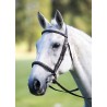Cavesson französischer Nasenriemen Avignon Shires - Schwarz