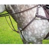 Brustblatt mit 5-Punkt-Befestigung Salisbury Shires - Havanna