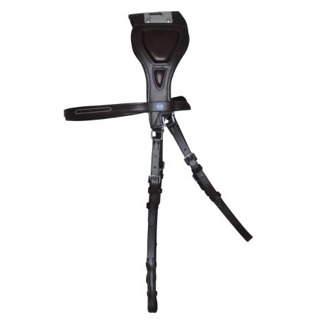 Trense T de T Essentiel mit Stirnriemen