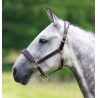 Lederhalfter Blenheim Shires - Havanna