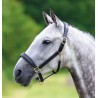 Lederhalfter Blenheim Shires - Schwarz