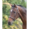 Trense mit Ziernähten Fancy Blenheim Shires - Havanna