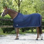 Equithème Microfleece Standard Hemd