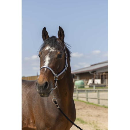 Norton Nylon Soft Halfter