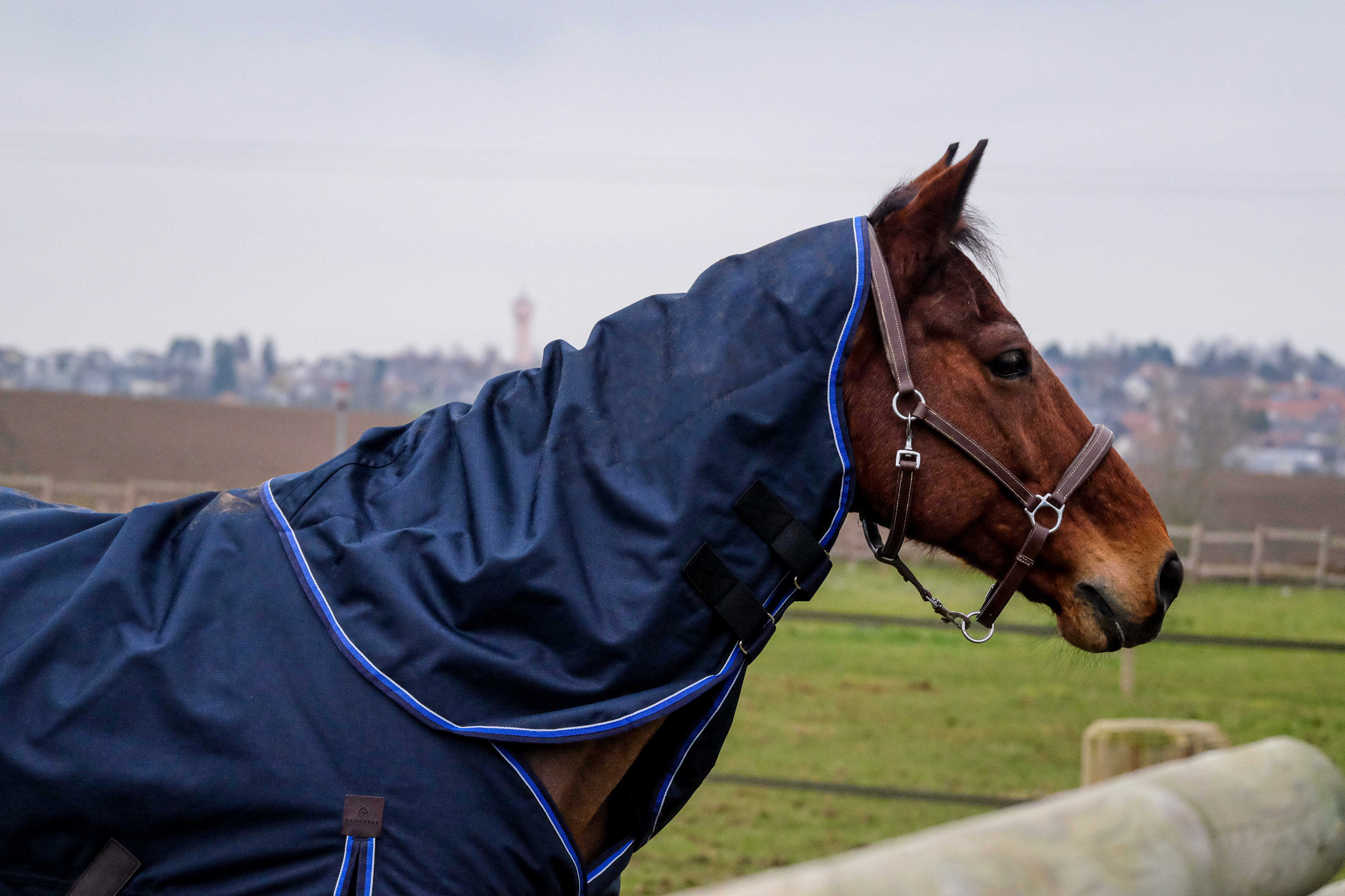 Halsabdeckung Equithème Classic 1200D Marineblau