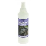 Der Entwirrer des Marschalls