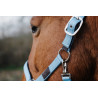Nylonhalfter Spring Equithème - Türkis
