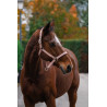 Nylonhalfter Spring Equithème - Hellrosa