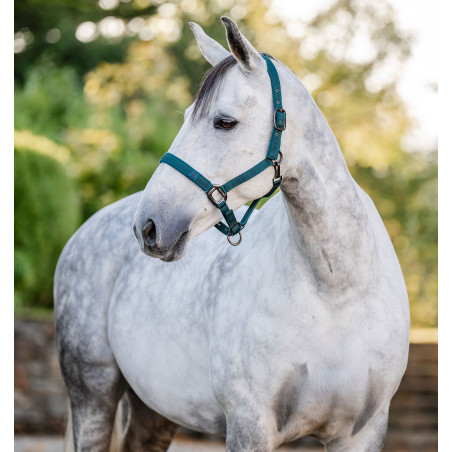 Halfter und Führstrick Horseware