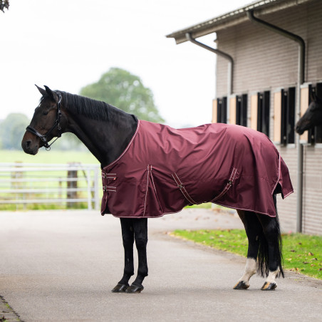 Imperial Riding Basic Paddockdecke ohne Halsteil Fleece