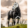 Horseware Rhino Turnout Pony Bundle mit 0 g und 200 g Liner - Schwarz karierte Kacheln / schwarz & weiß