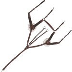 Brustblatt Canter 5-Punkt