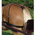 Rückhaltegurte Chetak