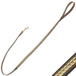 Lass Hund Houston Chetak