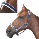 Lederhalfter gefüttert Chetak