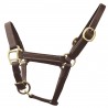 Fohlenhalfter Präsentation Chetak - Braun