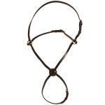 Kreuznasenriemen Chetak