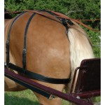 Euro Chetak Rückhalteriemen