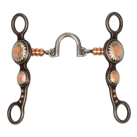 Korrekturgebiss Pool’s aus Eisen, mit Blumenverzierung