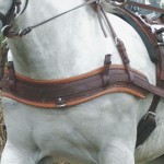 Anatomisches Reithalfter Eric Le Tixerant