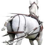 Rückhalteriemen MARATHON Eric Le Tixerant