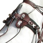 Marathonsattel Eric Le Tixerant