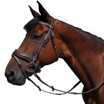 Trensenzaum Flags & Cup Kopenhagen