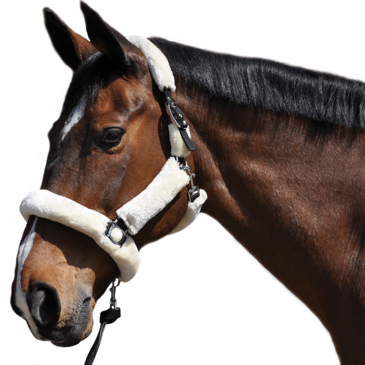 Transporthalfter Flags & Cup Natürlich Braun