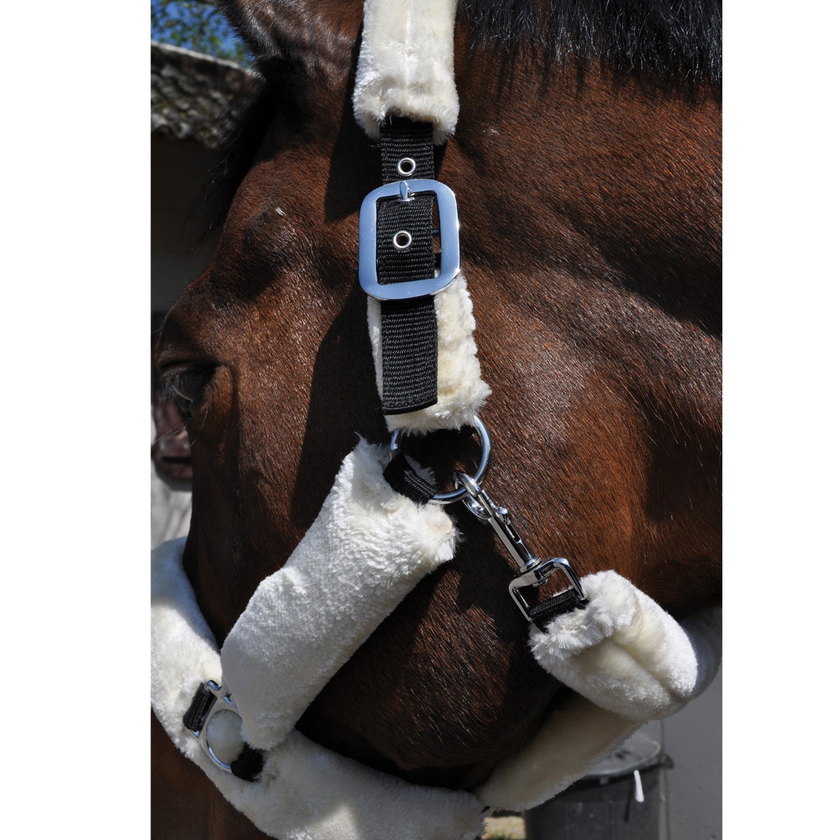 Transporthalfter Flags & Cup Natürlich Braun