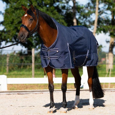 Paddockdecke Imperial Riding Basic mit hohem Halsteil 200 g