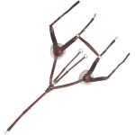 Brustblatt mit 5-Punkt-Martingal Lexington