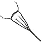 Brustblatt Lexington Denver