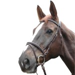 Trensenzaum Privilege Equitation Biarritz kombiniert