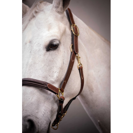 Lederhalfter mit 3 Karabinern Paddock Sports